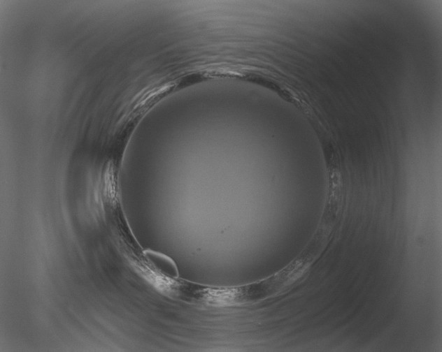 X0000078280143200611031218