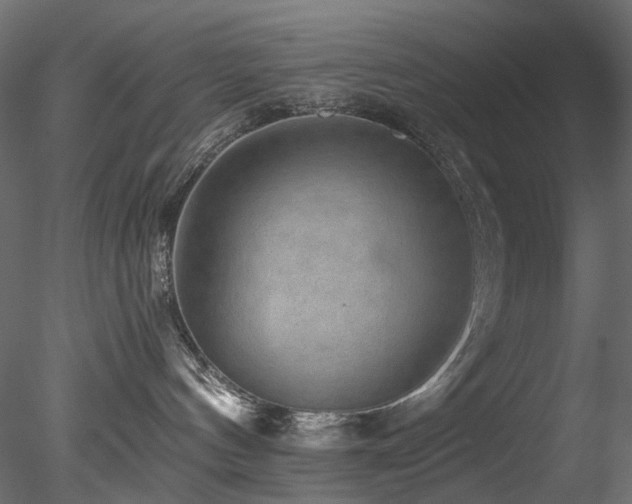 X0000078280144200611031218