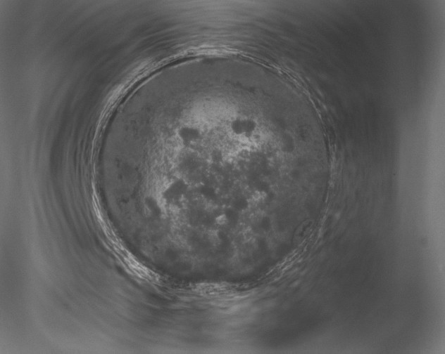 X0000078280145200611031217