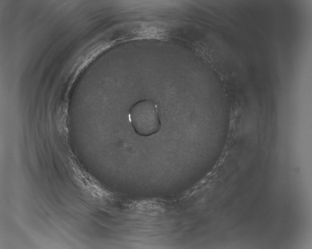 X0000078280146200611031217