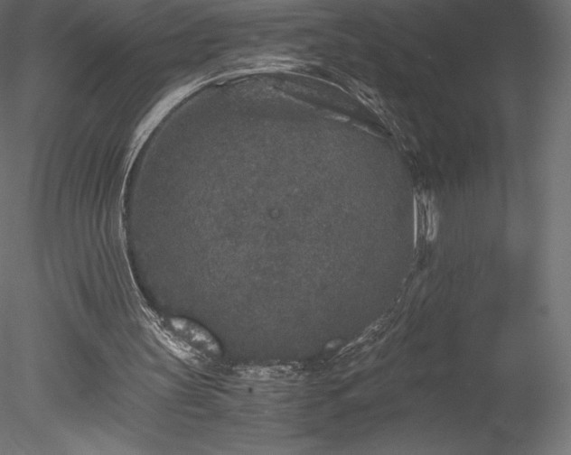 X0000078280147200611031217