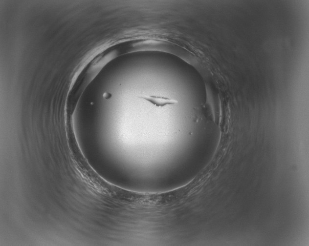 X0000078280148200611031217