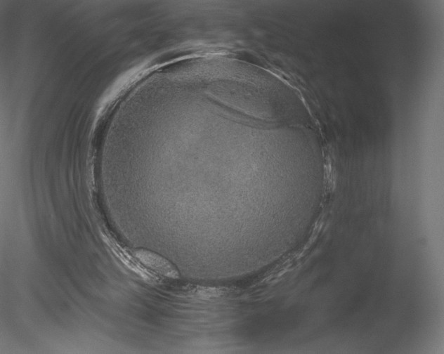 X0000078280149200611031217