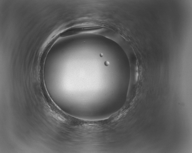 X0000078280150200611031217