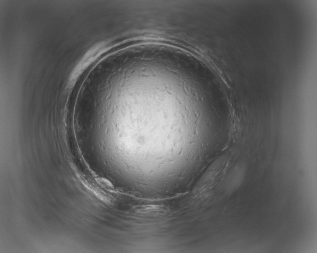 X0000078280151200611031217