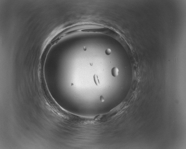 X0000078280152200611031217