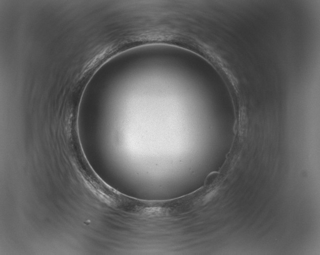 X0000078280153200611031217