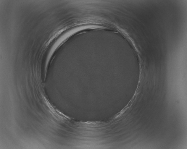 X0000078280154200611031217