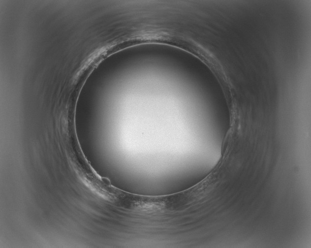 X0000078280155200611031217