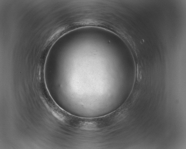 X0000078280157200611031217