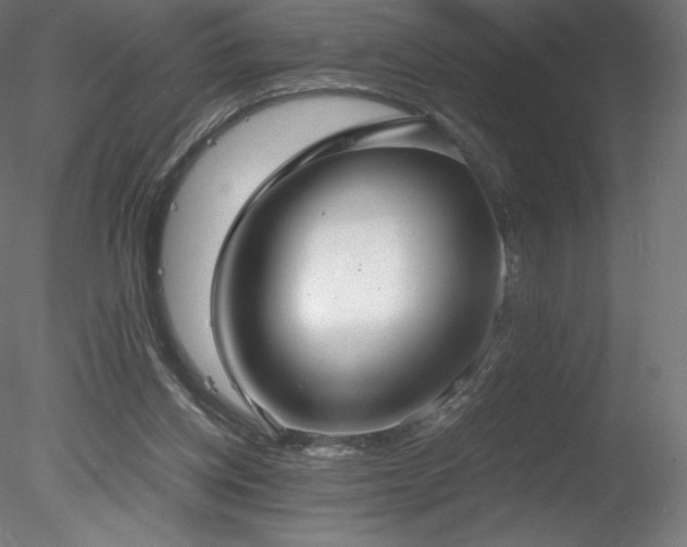 X0000078280158200611031217