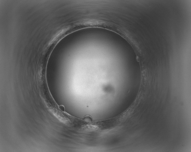 X0000078280159200611031217