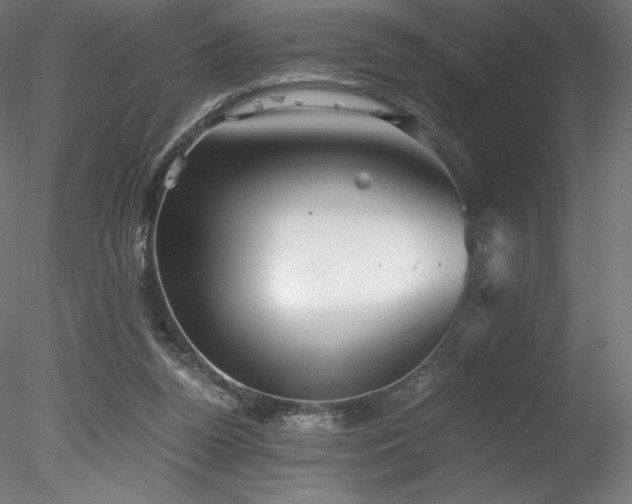 X0000078280160200611031217