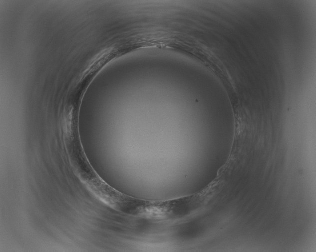 X0000078280163200611031217