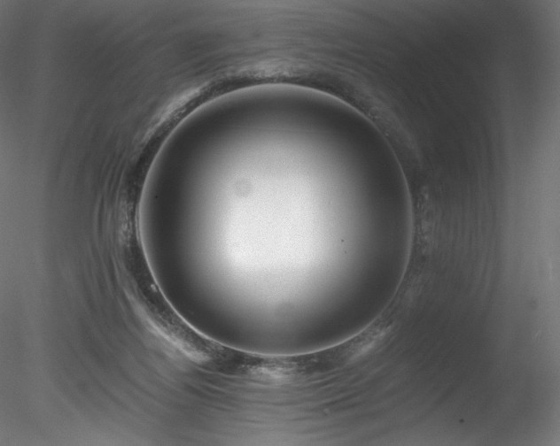 X0000078280164200611031217