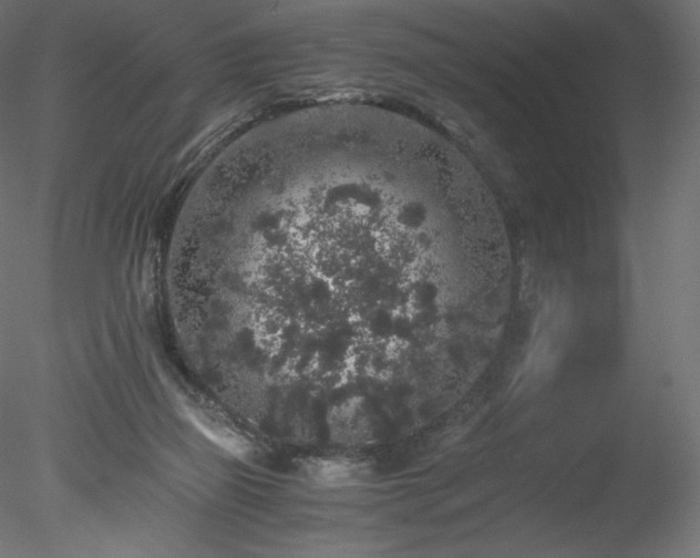 X0000078280165200611031217