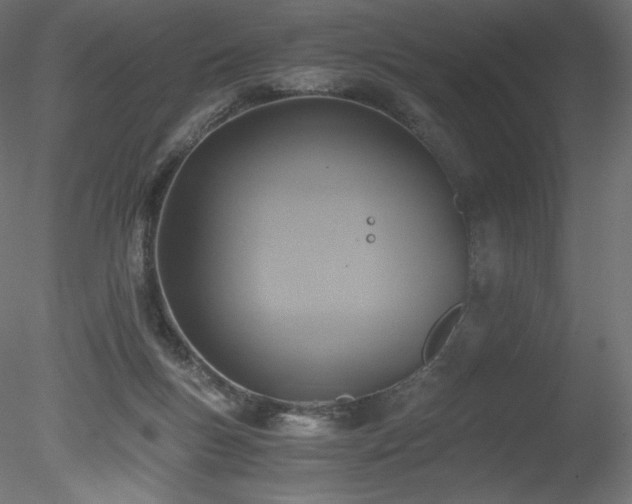 X0000078280167200611031218