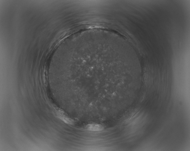 X0000078280169200611031218