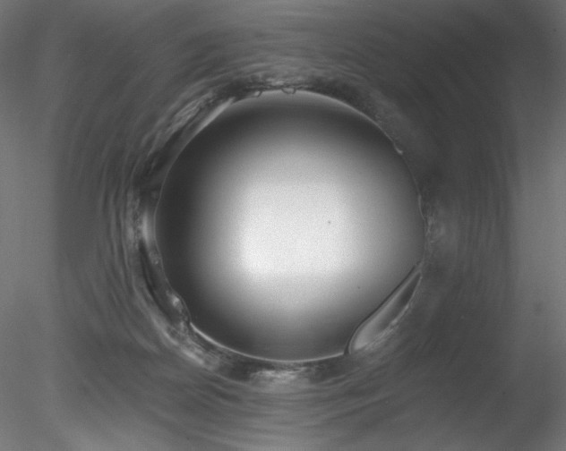 X0000078280170200611031218