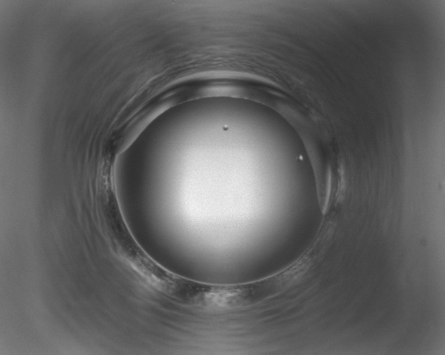 X0000078280172200611031218