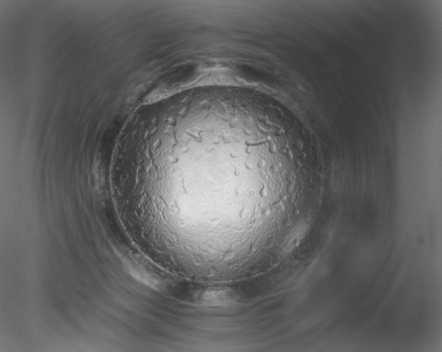 X0000078280173200611031218