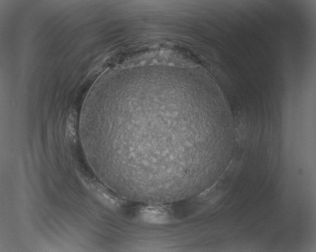 X0000078280175200611031218