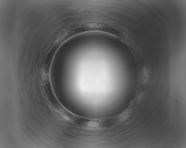 X0000078280176200611031218