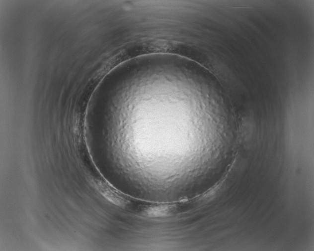 X0000078280178200611031218