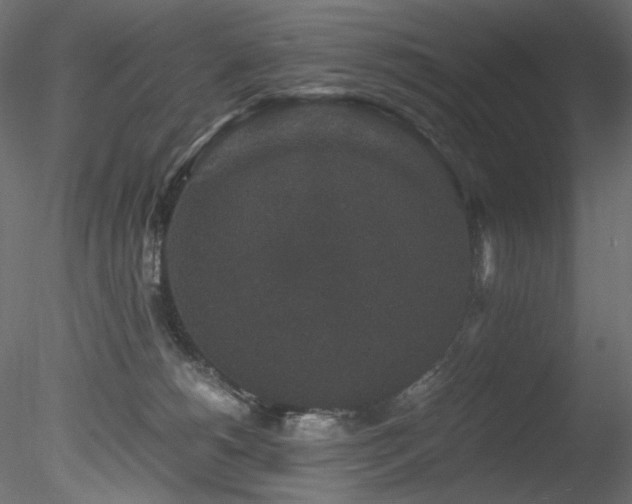 X0000078280180200611031218