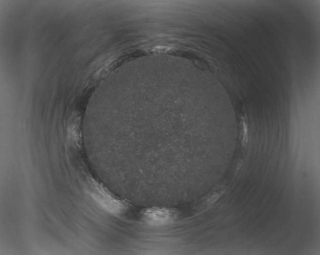 X0000078280181200611031218