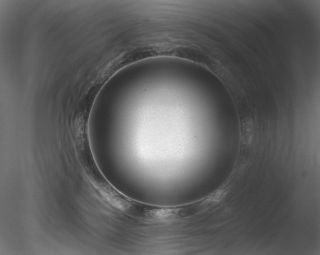 X0000078280184200611031218