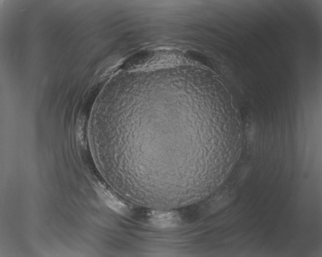 X0000078280185200611031218