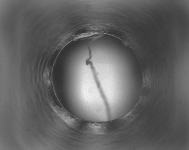 X0000078280187200611031218