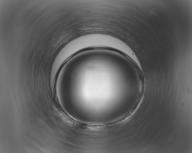 X0000078280190200611031218