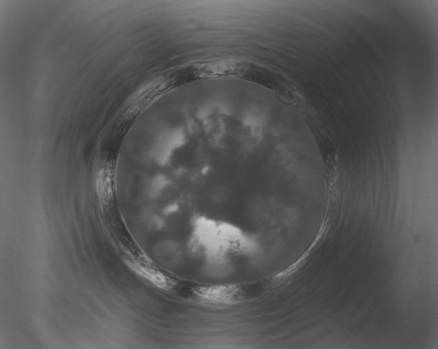 X0000078280191200611031218