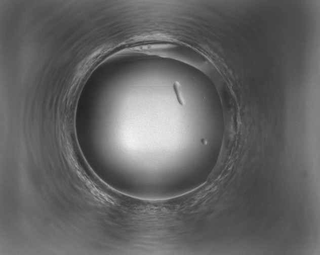 X0000078280193200611031217