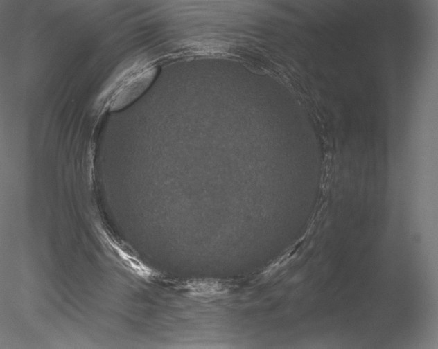 X0000078280194200611031217