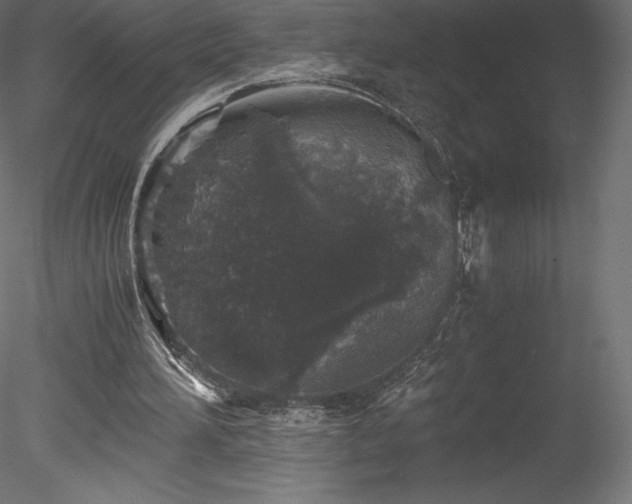 X0000078280196200611031217