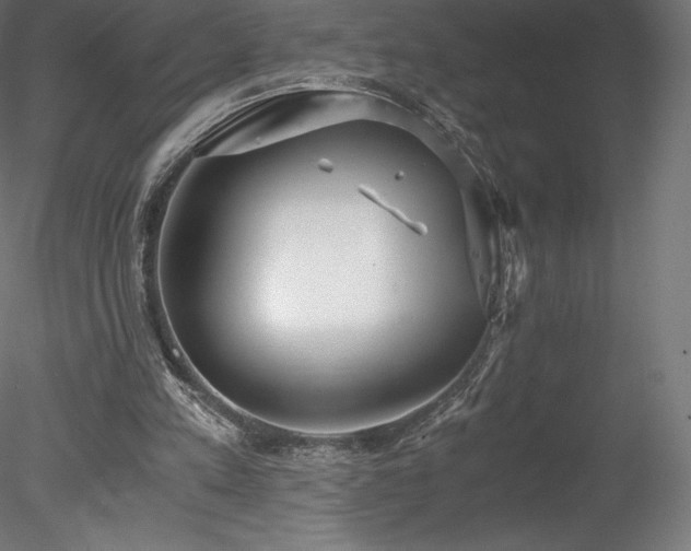 X0000078280197200611031217