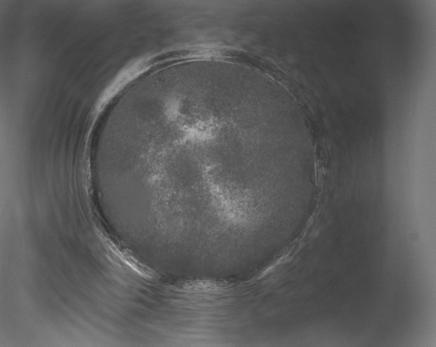 X0000078280198200611031217