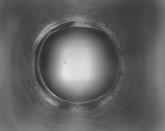 X0000078280199200611031217