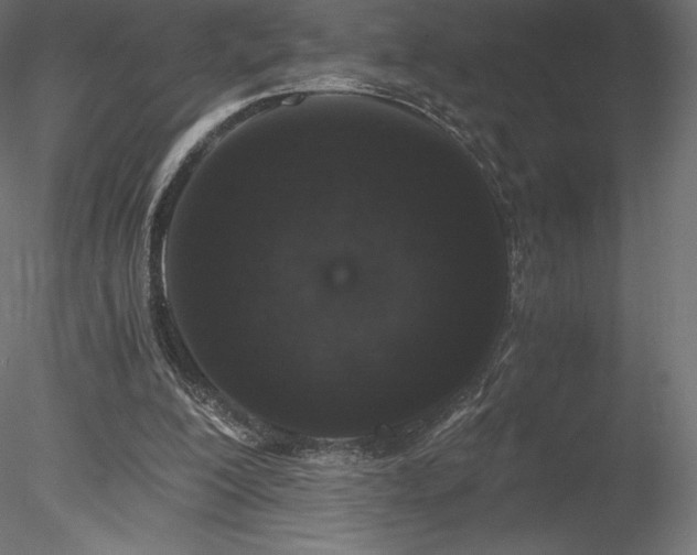 X0000078280200200611031217