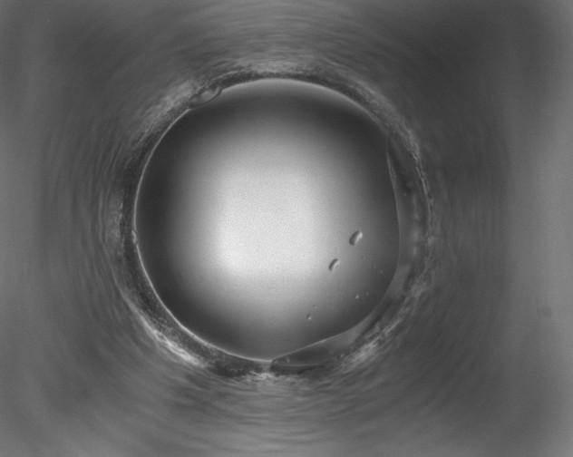 X0000078280201200611031217