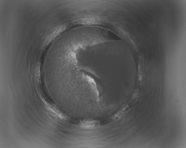 X0000078280202200611031217