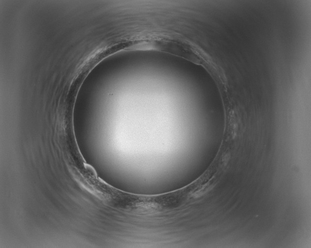 X0000078280203200611031217