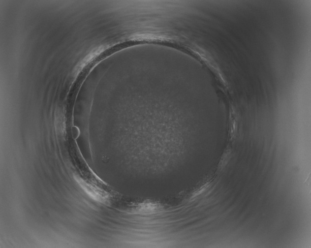 X0000078280204200611031217