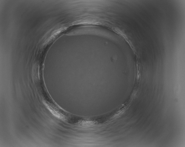 X0000078280205200611031217