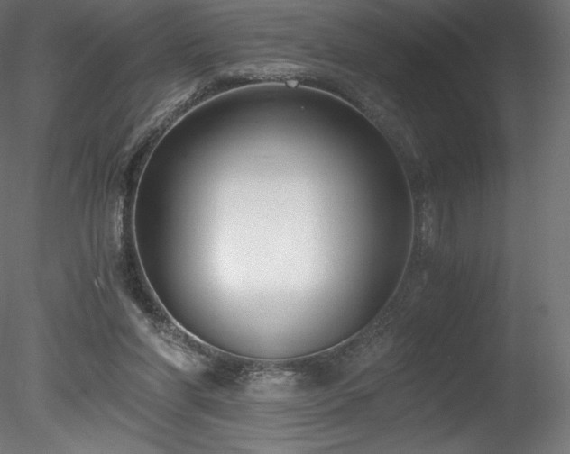 X0000078280206200611031217