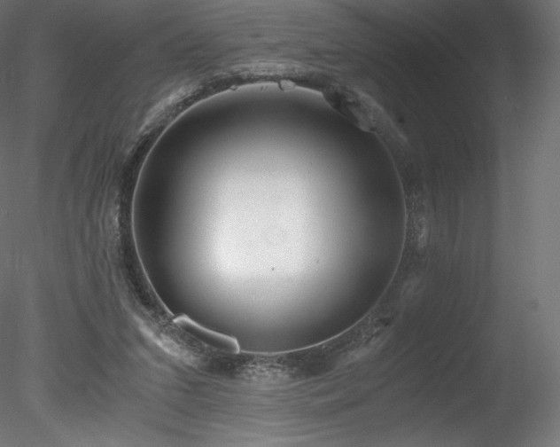 X0000078280207200611031217