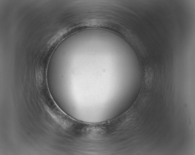 X0000078280208200611031217